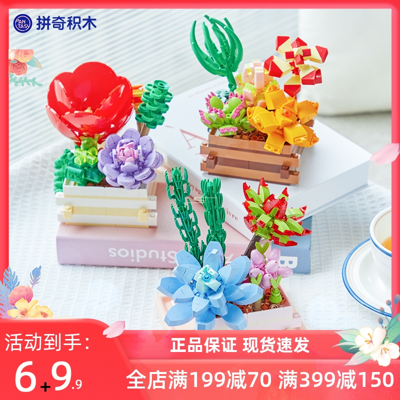 拼奇积木花多肉植物盆栽