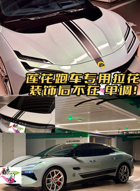 莲花跑车专用拉花侧裙贴进口材质