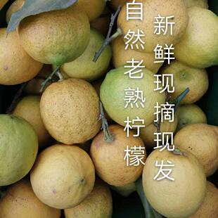 安岳柠檬新鲜水果无蜡天然野生土黄柠檬青柠檬片泡水5斤包邮现摘