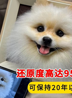 还原度高达90%高仿真定制