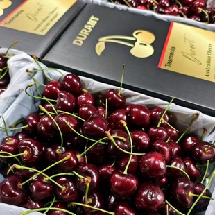 二天发货澳洲车厘子塔斯马尼亚樱桃新西兰顺丰水果礼盒顺丰durant
