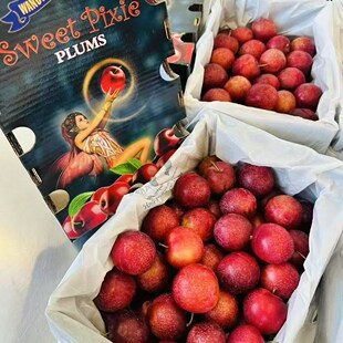 二天发货澳洲车厘子樱桃礼盒装顺丰水果当季