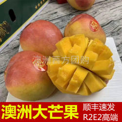 二天发货进口澳洲澳芒R2E2原箱礼盒装当季新鲜芒果香甜新鲜水果