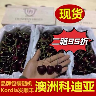 三天发货澳洲车厘子科迪亚小黑盒高端水果礼盒樱桃新西兰kordia