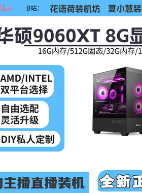 蓝宝石华硕9060XT 8G/电脑主机/台式电脑/组装电脑