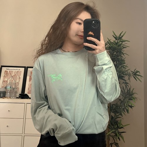 始祖鸟卫衣男女同款圆领休闲