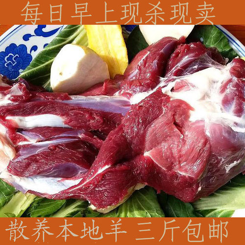 新鲜羊肉羊肉现杀现卖