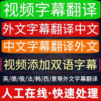 视频字幕翻译添加中文粤英日语德俄法韩西班牙意大利语电影音字幕