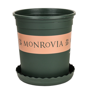 新款花盆环球加厚树脂大口径加仑盆阳台绿萝月季多肉塑料特价包邮