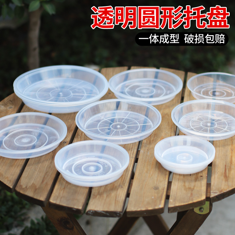 PP树脂透明托盘简约外观结实耐用