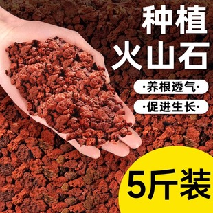 火山石颗粒垫底古法养鱼造景兰花专用多肉铺面石透气鱼缸火山岩