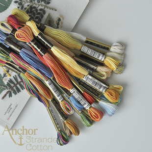 特价！德国原装安卡Anchor  彩虹线  刺绣线十字绣  24色