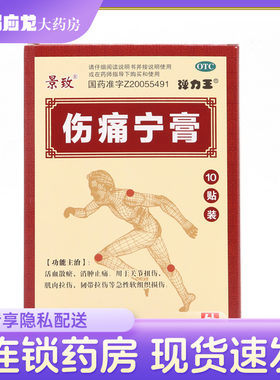 【康源】伤痛宁膏10贴/盒