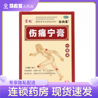 【康源】伤痛宁膏10贴/盒