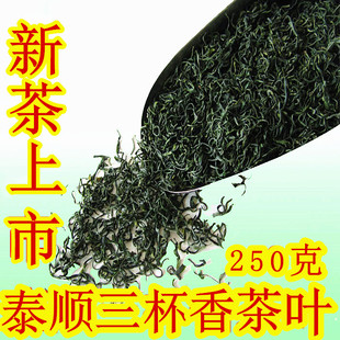 2025年新茶浙江绿茶泰顺三杯香茶叶明前茶春茶早茶250g高山云雾茶