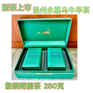 2026年新茶温州散装永嘉乌牛早茶明前龙井茶250克礼盒装 绿茶