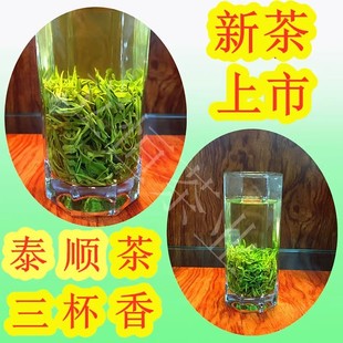 2025年新茶浙江泰顺三杯香茶叶炒青绿茶明前茶高山云雾香茶125g