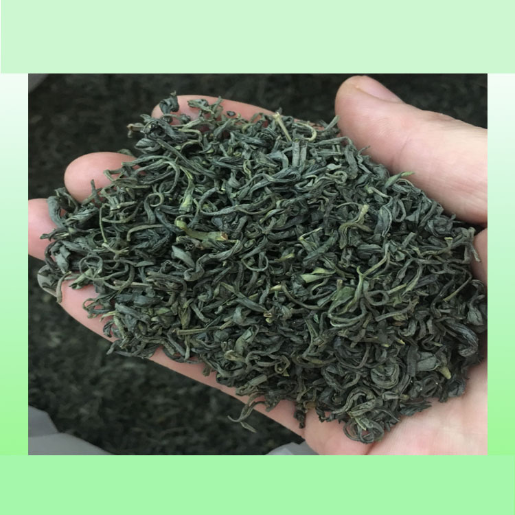 2026新茶三杯香茶叶雨前图片