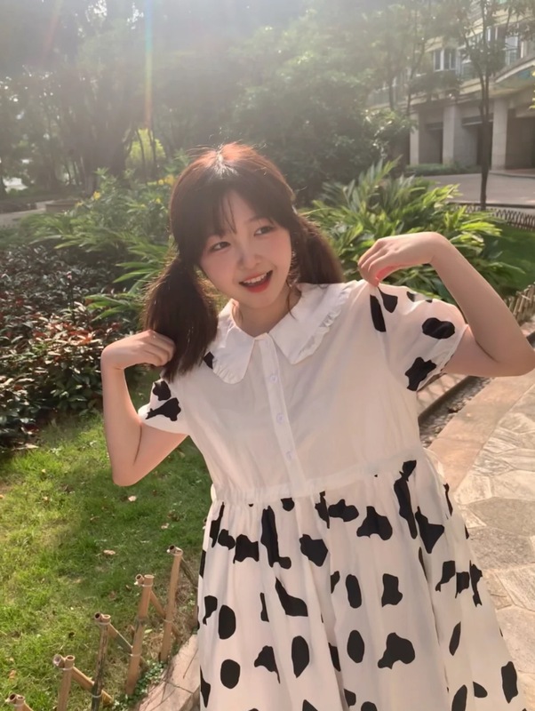Real shot monitoring cute cow control ~ super sweet super cute elastic tie waist Auricularia auricula edge collar stitching dress