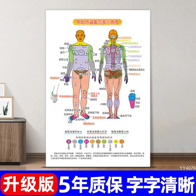 原始点涵盖范围宣传画人体十二经