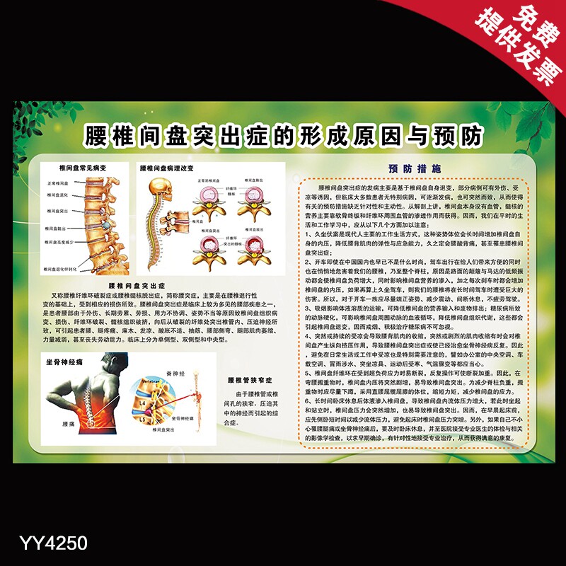 腰椎间盘突出的形成原因与保健挂图 骨科健康教育宣传知识画海报