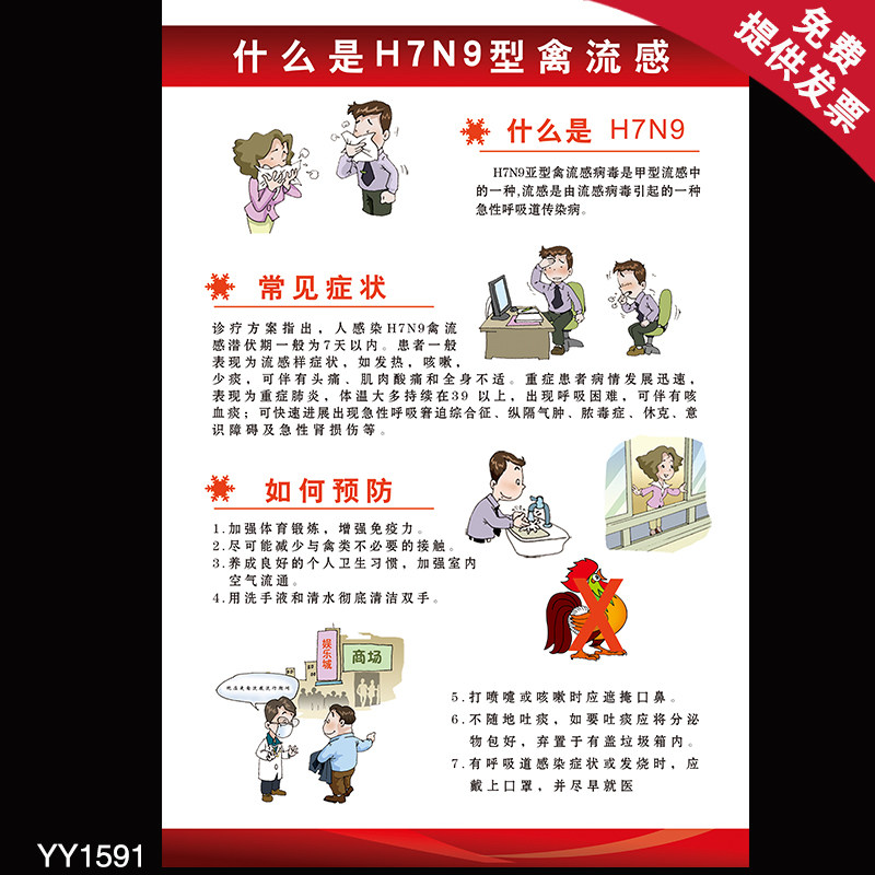 禽流感科普知识挂图 什么是h7n9型禽流感科普知识海报 健康挂画