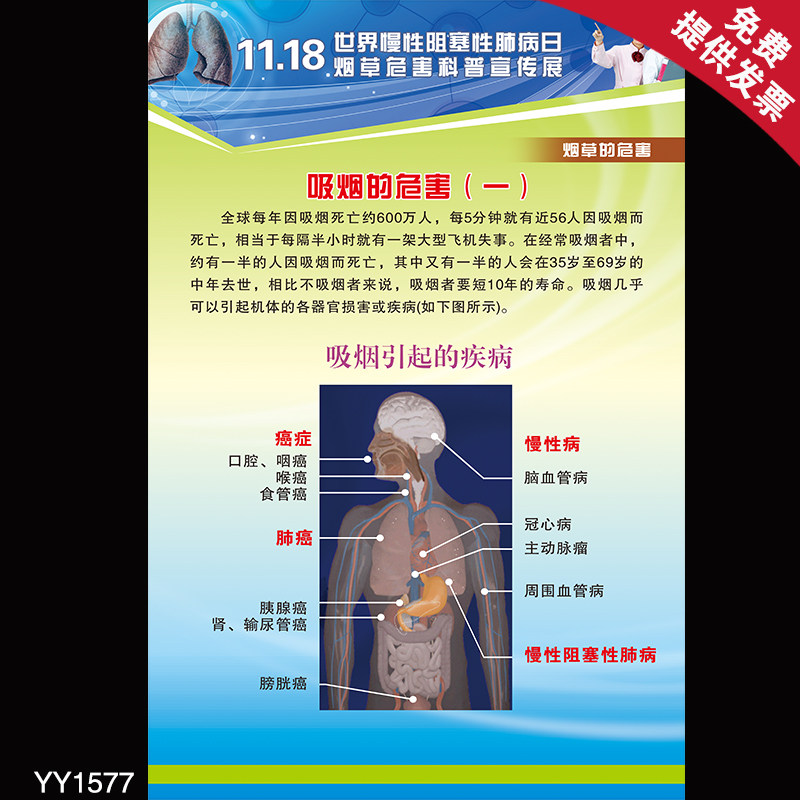 慢心阻塞性肺病日烟草危害科普宣传展板 吸烟的危害与疾病挂图画