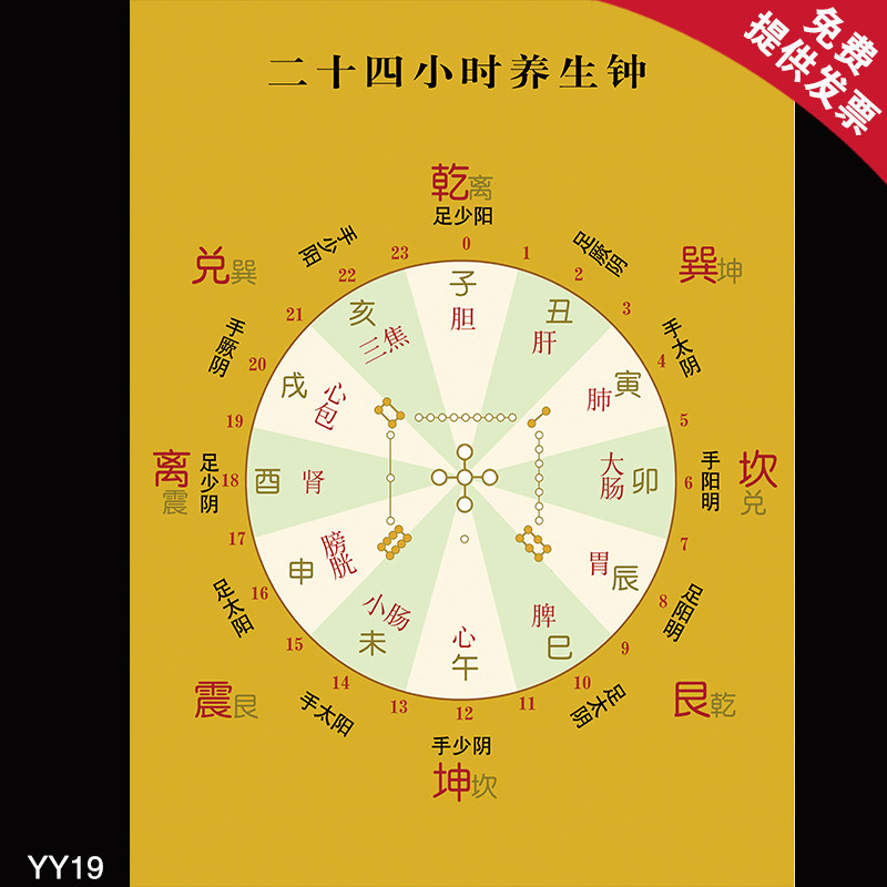 中医养生宣传画挂图 二十四小时养生钟 中医院美容院装饰挂图墙贴