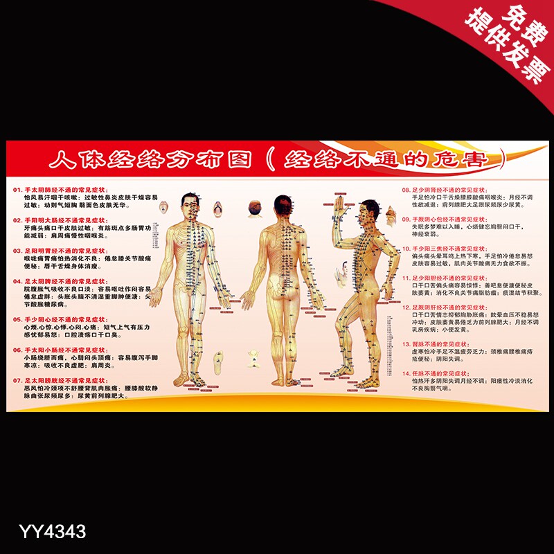 人体经络分布图海报 医院科室人体穴位解剖大挂图 中医养生画展板