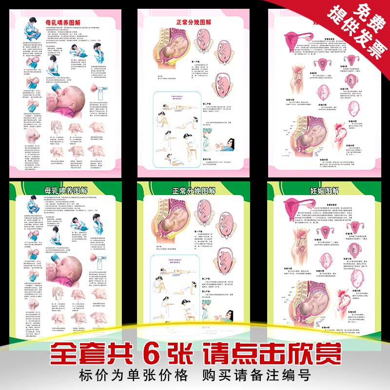 母乳喂养正常分娩妊娠图解挂图 妇幼保健院孕妇婴儿健康知识海报