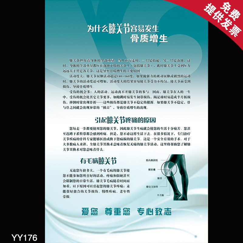 社区健康知识宣传画 为什么膝关节容易发生骨质增生 医院墙贴海报