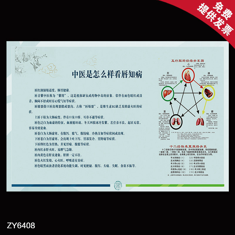 中医是怎么样看唇只病的知识海报 人体五行脏腑经络关系挂图展板