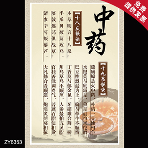 传统中药知识画报 十八反十九畏歌诀大挂图 中医养生保健墙贴海报