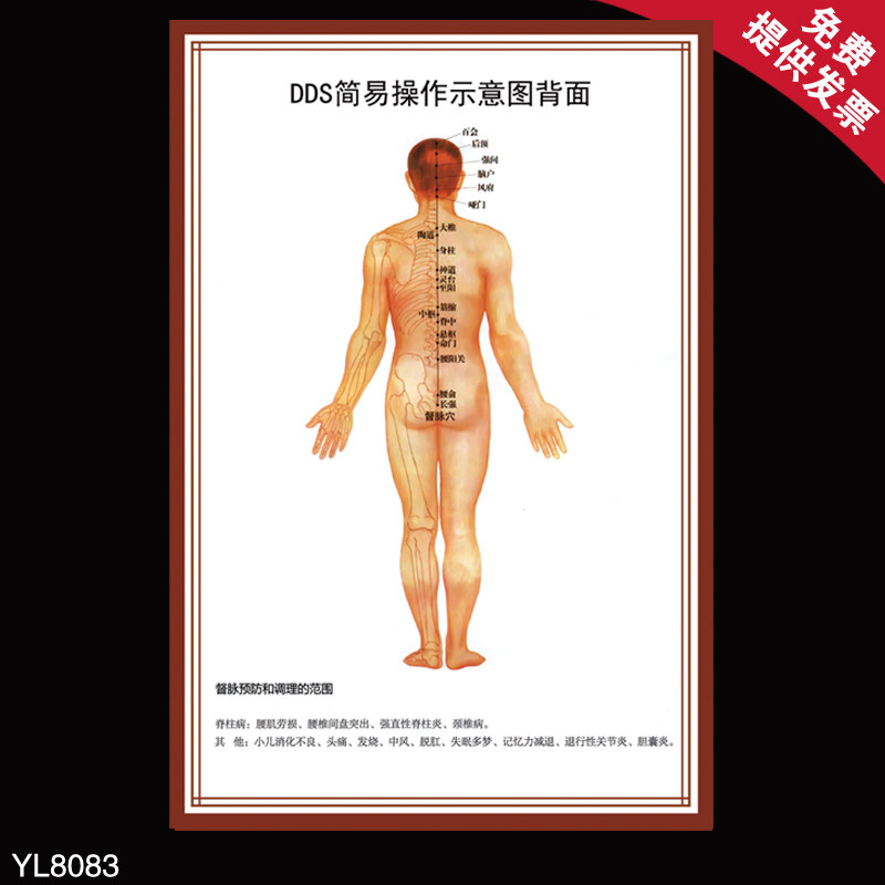 dds简易操作示意图海报 督脉调理范围展示挂图 人体经络穴位挂画