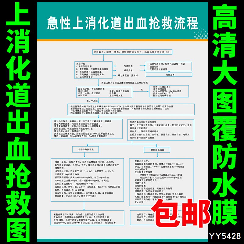 急性上消化道出血抢救流程 医院走廊墙贴画 科室装饰宣传海报