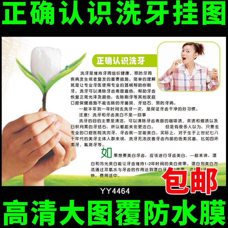 正确认识洗牙挂图 口腔健康知识宣传海报 医院牙科装饰墙贴挂画