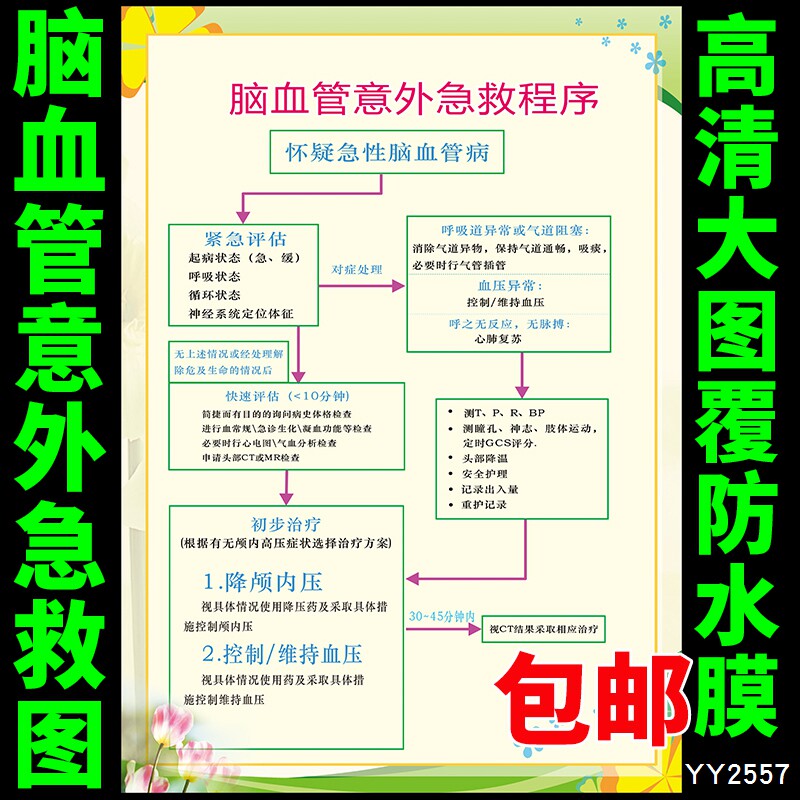 医院门诊抢救示意图贴纸 脑血管意外急救程序流程图海报 墙贴展板