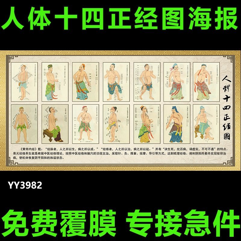 黄帝内经养生知识挂图 人体十四正经图海报 传统中医养生文化墙贴