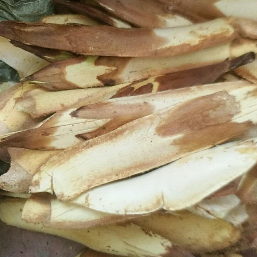 鲜蔬菜棕苞花棕包棕包米棕树棕心野菜菜中里包棕梨包5斤棕批