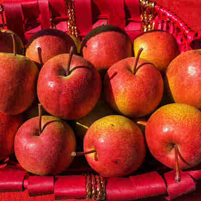 密云山区大城子红肖梨 农家丰水梨 新鲜水果 种植 5斤