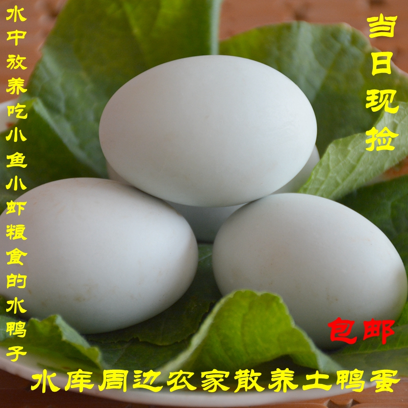 密云农家散养土鸭蛋 新鲜鸭蛋 自然觅食 河中放养 溜达鸭蛋10枚装