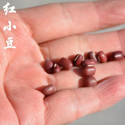 密云山区农家自种新红小豆 赤豆 红豆 新鲜种植 漂洗 老品种 500g