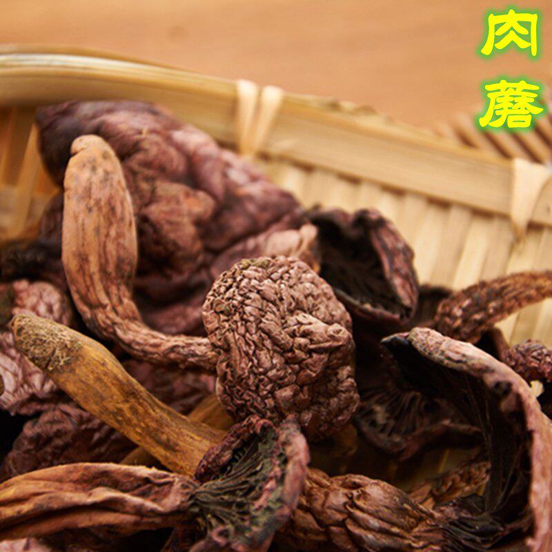 密云山区肉蘑 新鲜肉蘑食用菌无污染小鸡炖蘑菇 自然晾晒100g