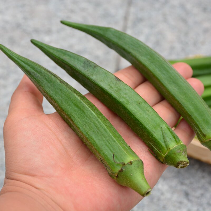 密云农家新鲜黄秋葵 现摘黄秋葵 鲜嫩生态种植 新鲜蔬菜 250g