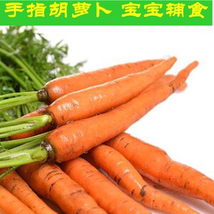 密云农家手指胡萝卜 新鲜蔬菜 绿色种植 宝宝孕妇蔬菜胡萝卜 500g