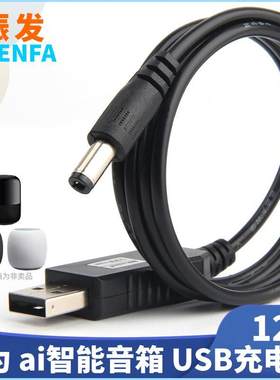 适用于 华为小艺智能AI音箱2电源线车载充电宝usb转接线12V