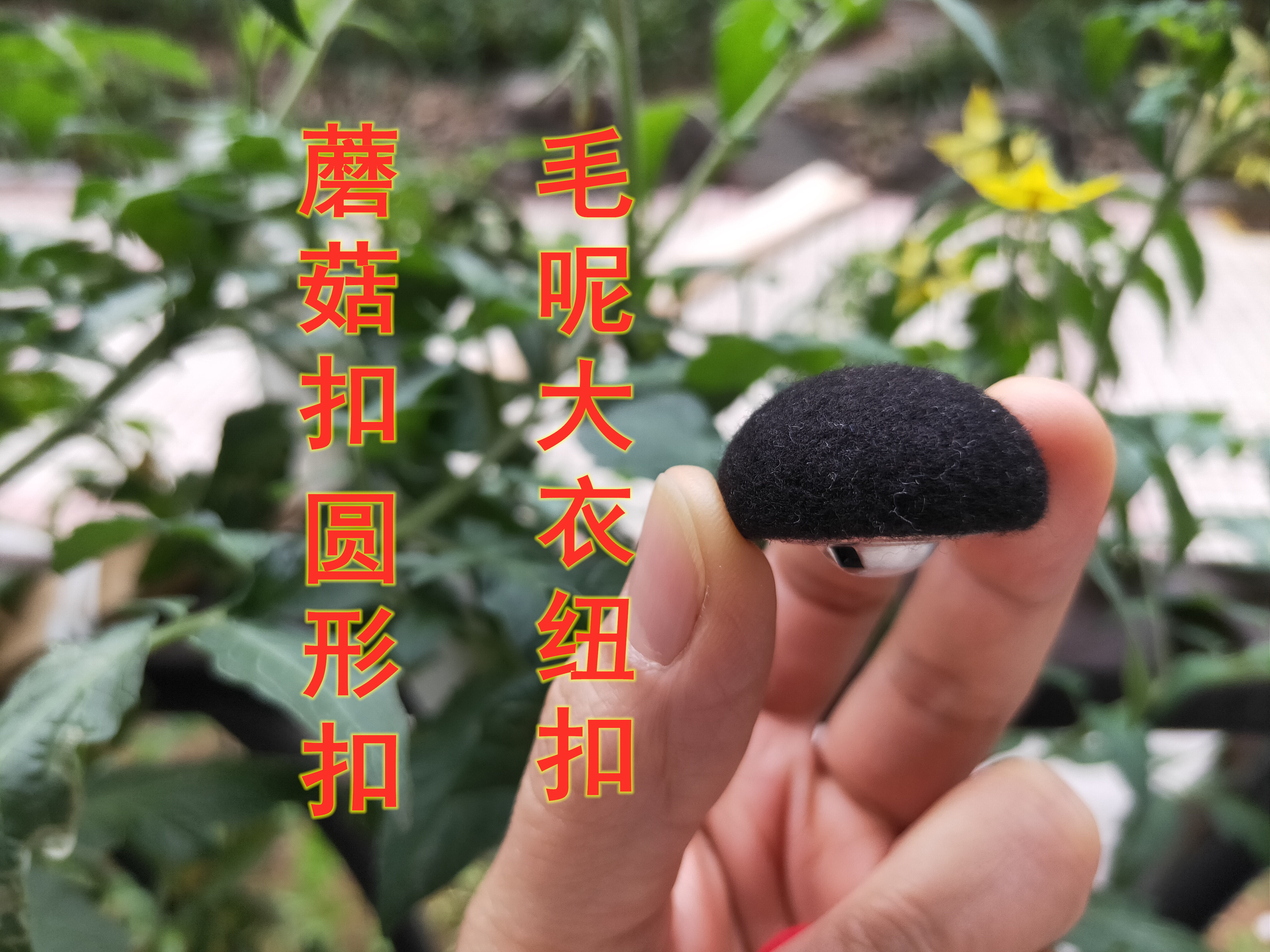 蘑菇扣毛呢羊绒大衣毛呢睡衣毛绒士宝宝圆形布包扣黑红衣服纽扣子,居家布艺,纽扣,淘宝优惠券,粉丝福利购,淘宝优惠卷