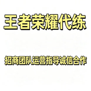 王者荣耀代练大小国标金标代打排位赛英雄战力百星省标小魔方