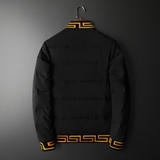 白鸭绒2024新款男士立领羽绒服钱塘6016-18116P280，男装羽绒服，钱塘6016