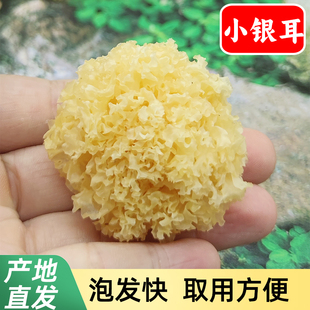 小朵银耳干货椴树古田农家断木小花朵白木耳银儿粘糯出胶易泡发